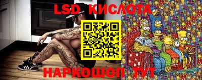 jwh Новодвинск