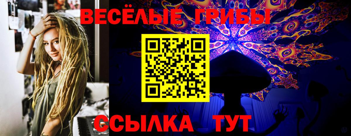 Псилоцибиновые грибы MAGIC MUSHROOMS Черкесск