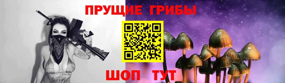 Черкесск  Галлюциногенные грибы Psilocybine cubensis  Вход с VPN 